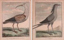 Appraisal: Pair of Hand-Colored Bird Woodcuts Le Secretaire and Le Courly