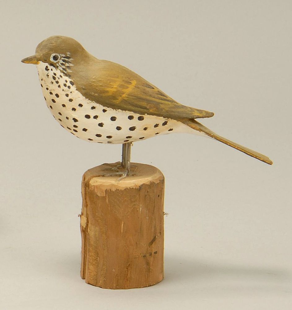 Appraisal: LIFE-SIZE WOOD THRUSH By Peter Peltz of Sandwich Massachusetts Signed