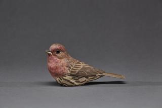 Appraisal: House Finch Rosalyn L Daisey b House Finch Rosalyn L