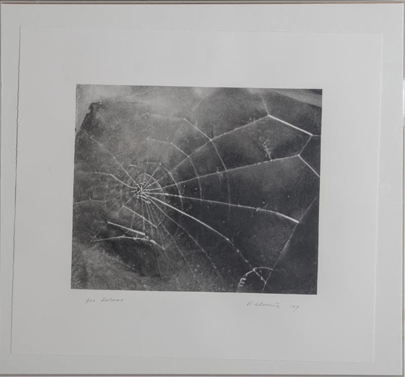 Appraisal: VIJA CELMINS b SPIDERWEB FOR LINCOLN CENTER LIST ART PROGRAM