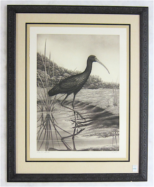 Appraisal: JOHN COSTIN ETCHING Florida th st century Titled Glossy Ibis