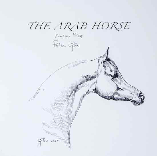 Appraisal: Upton Peter The Arab Horse A Complete Record of the