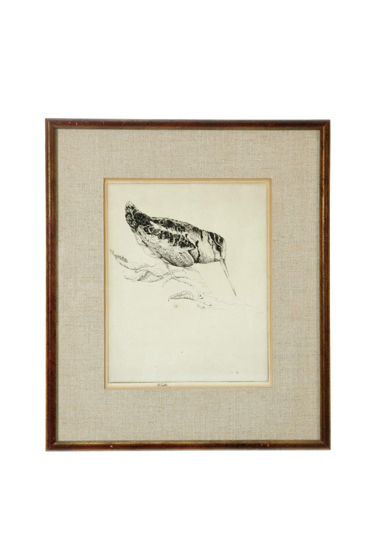 Appraisal: BIRD PRINT BY HENRY EMERSON TUTTLE AMERICAN - Etching on