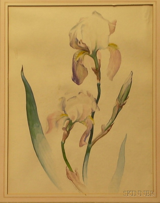 Appraisal: Framed Watercolor on Paper board Still Life of a Iris