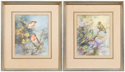 Appraisal: Pair William E Powell watercolors British - songbirds titled in