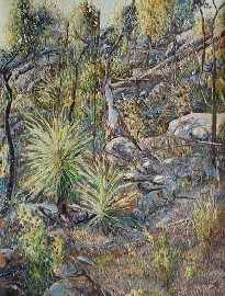 Appraisal: Pat Shirvington born Banksia and Xanthorea acrylic on board signed