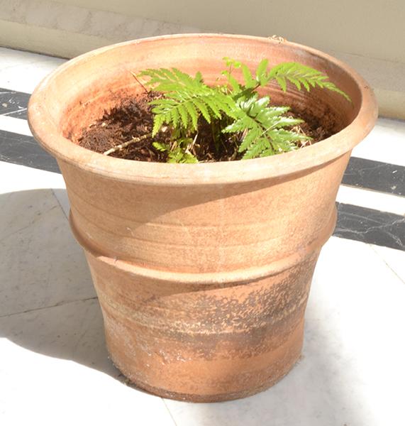 Appraisal: THREE SMALL ITALIAN TERRA COTTA RIBBED PLANTERS