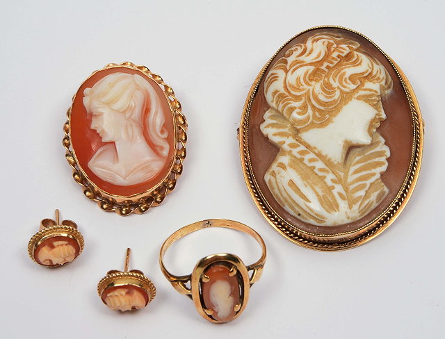 Appraisal: Small collection of various cameosincluding examples of earrings brooches and