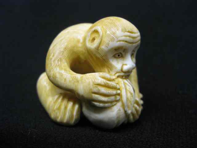 Appraisal: Carved Ivory Netsuke of a Monkey eatingfruit - '' signed