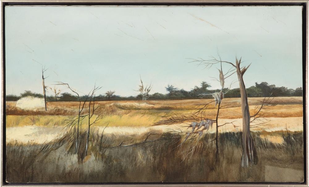 Appraisal: James Lamantia American New Orleans - Open Marsh oil on