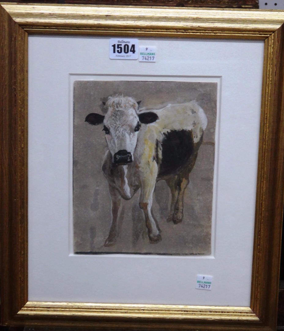 Appraisal: Italian School early th century Study of a calf watercolour