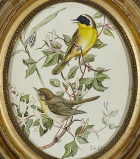 Appraisal: John Henry Dick - Common Yellowthroat signed and dated J