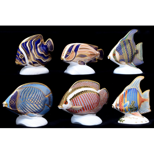 Appraisal: Six Royal Crown Derby Tropical Fish paperweights Chevroned Butterfly Fish