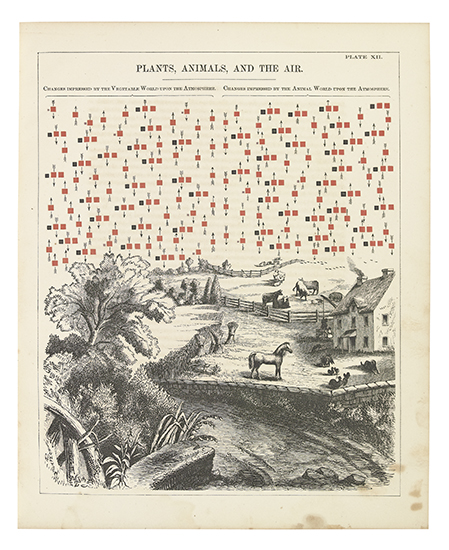 Appraisal: YOUMANS EDWARD Chemical Atlas or The Chemistry of Familiar Objects