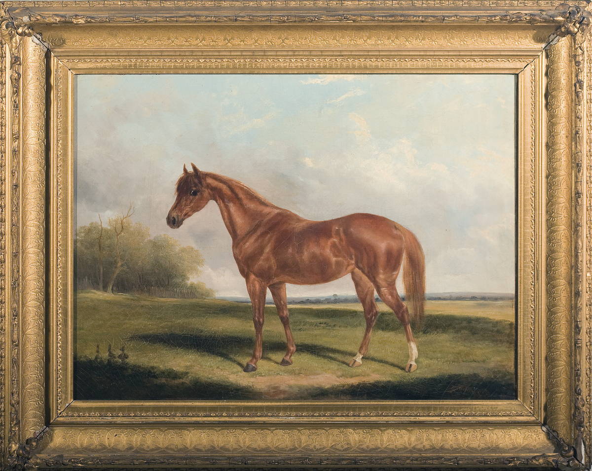 Appraisal: PORTRAIT OF A CHESTNUT THOROUGHBRED Oil on canvas x inches