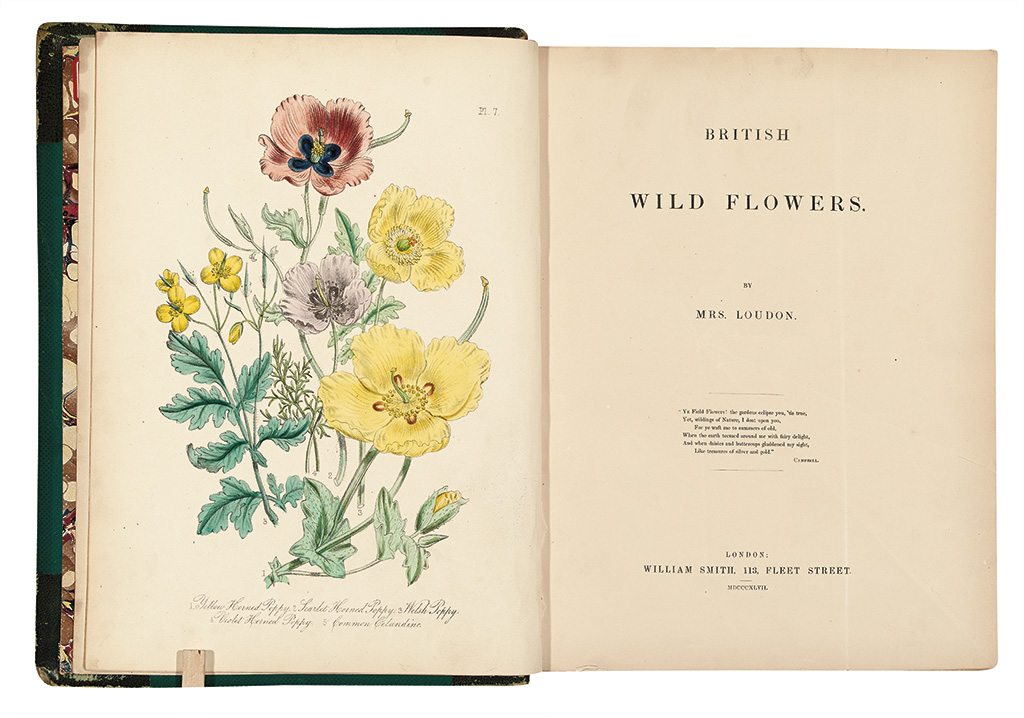 Appraisal: BOTANICAL Loudon Jane British Wild Flowers hand-colored lithographed plates to