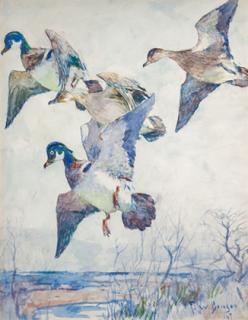 Appraisal: Frank W Benson - Wood Duck signed and dated F