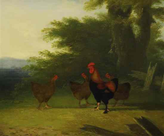 Appraisal: English School c oil on canvas Cockerel with three hens