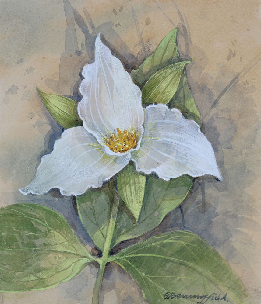 Appraisal: Gordon Beningfield - Trillium W C Gordon Beningfield - Large