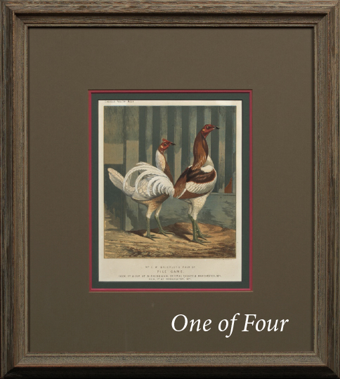 Appraisal: British School Fourth Quarter th Century Chickens suite of four