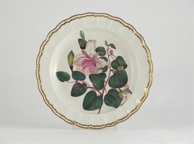 Appraisal: A Derby botanical plate painted in pattern number ' '