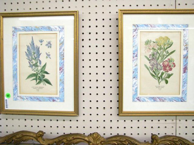 Appraisal: Pair of antique botanical prints framed visible image approximately x