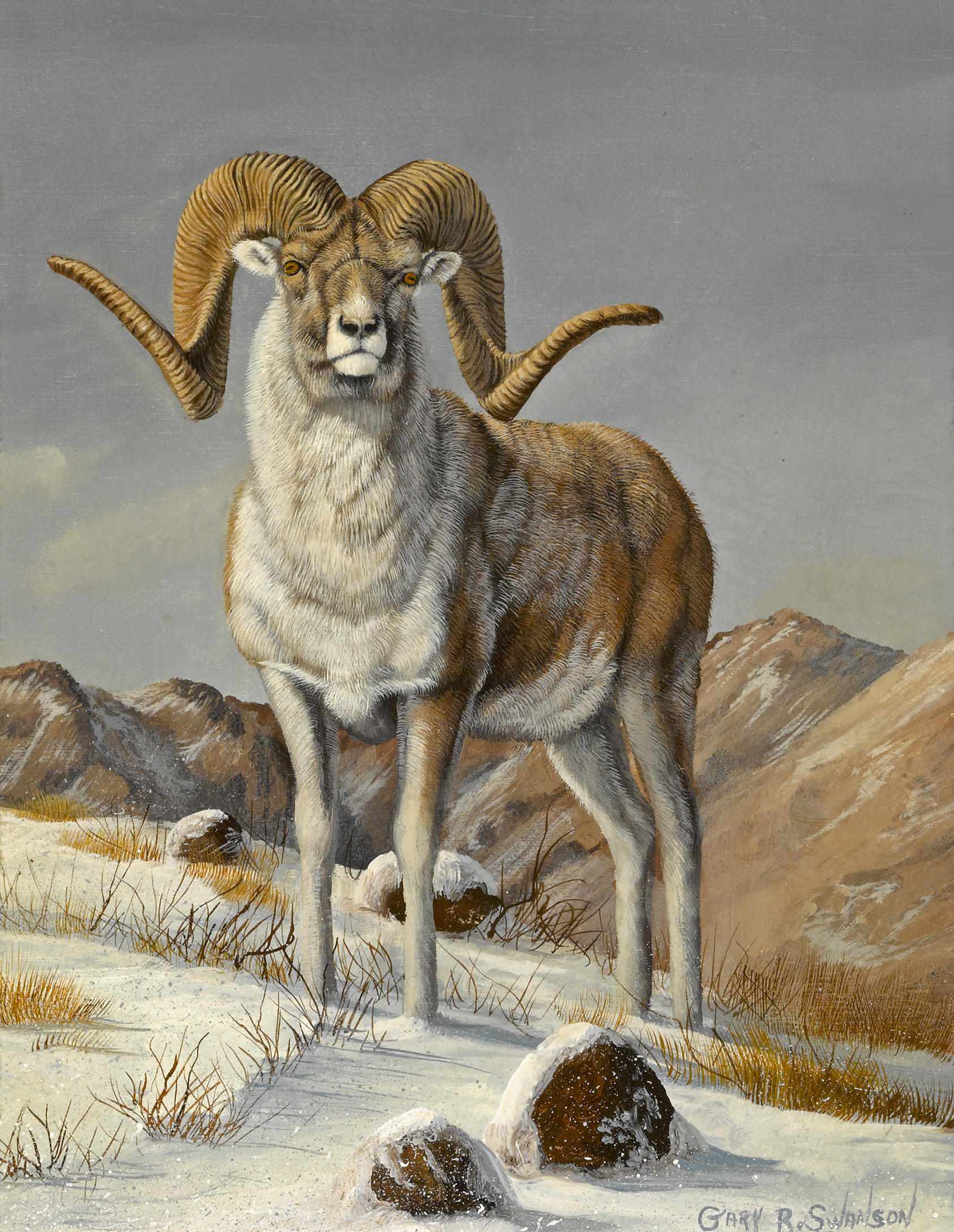 Appraisal: Gary R Swanson American born Snow sheep Tibetan Argali Tin