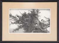 Appraisal: STOW WENGENROTH American - CHICKADEES Limited edition signed original lithograph