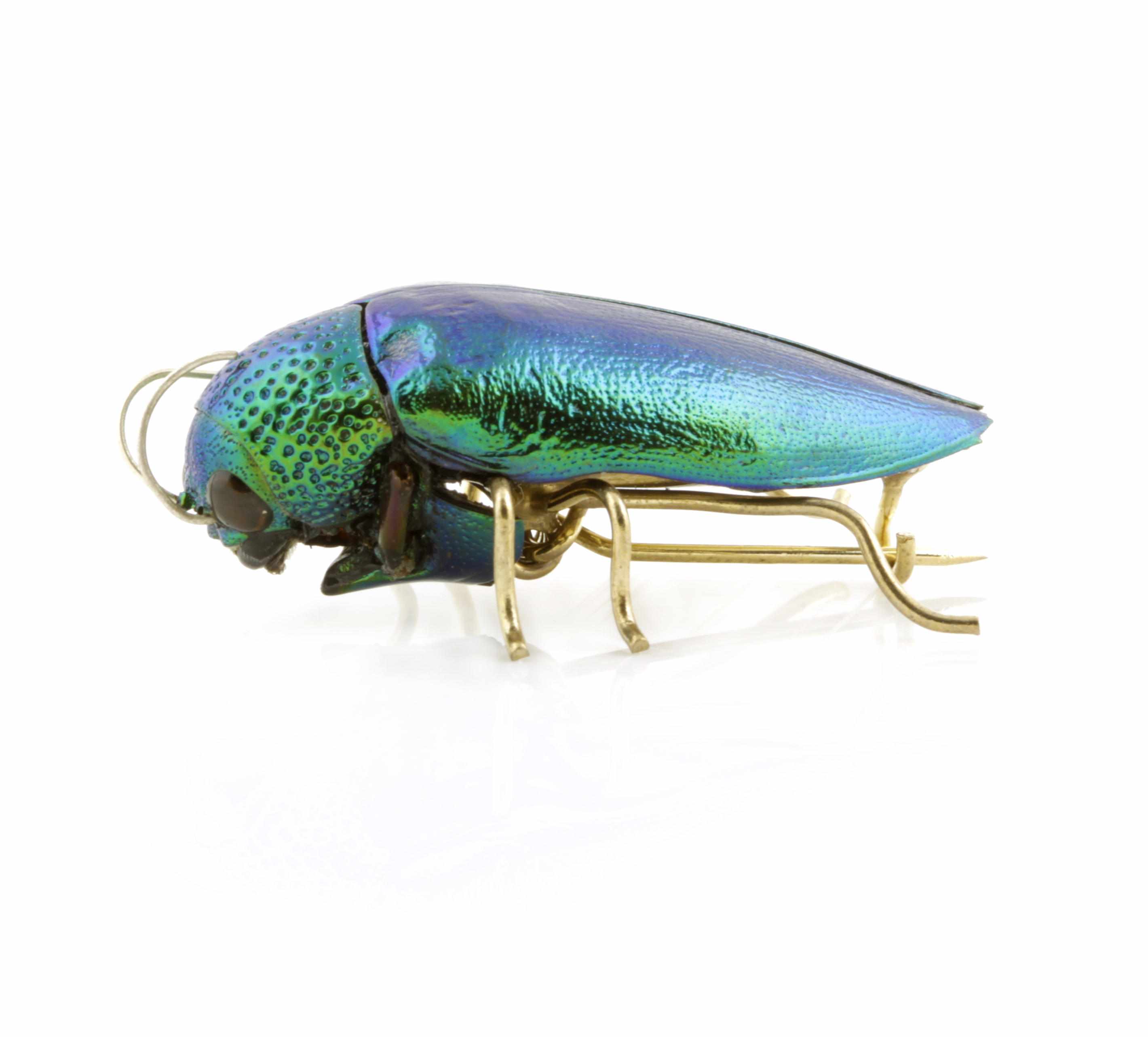 Appraisal: Irridescent Green Beetle Brooch ThailandLong featured in jewelry since antiquity