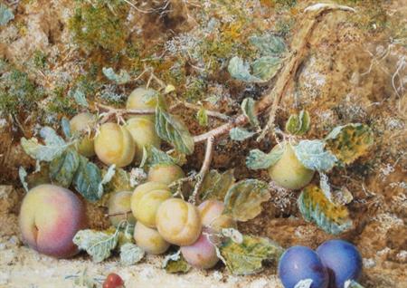 Appraisal: William Hough British - Still Life of Plums Estimate -