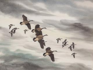 Appraisal: David Hagerbaumer - Canada Geese in Flight signed and dated