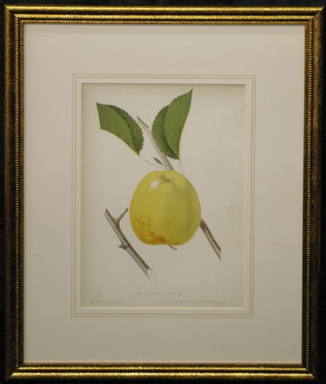 Appraisal: Pair of Sharp Son Bookplate Chromolithographs depicting apples th century