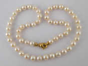 Appraisal: A cultured pearl necklace with yellow metal tests carat gold