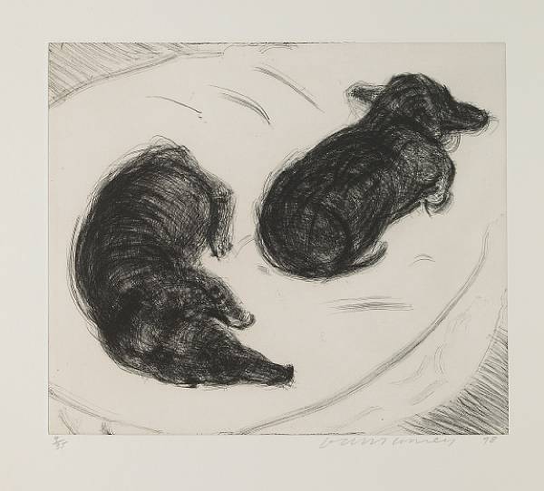 Appraisal: David Hockney British born No from Dog Wall series Etching