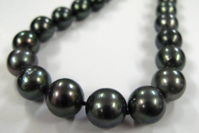 Appraisal: BLACK SOUTH SEAS PEARL NECKLACE WITH APPRAISAL This princess length