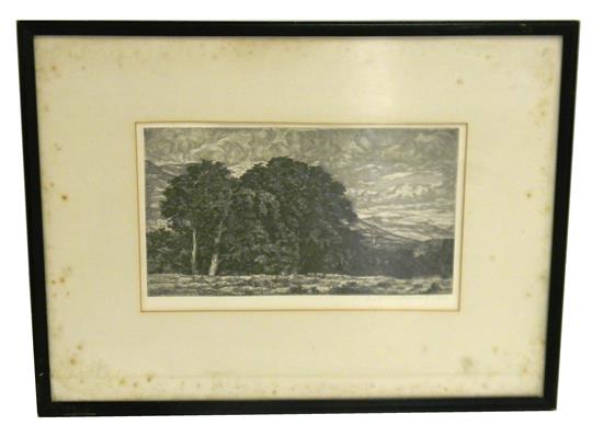 Appraisal: Luigi Lucioni American - etching depicting summer trees in meadow