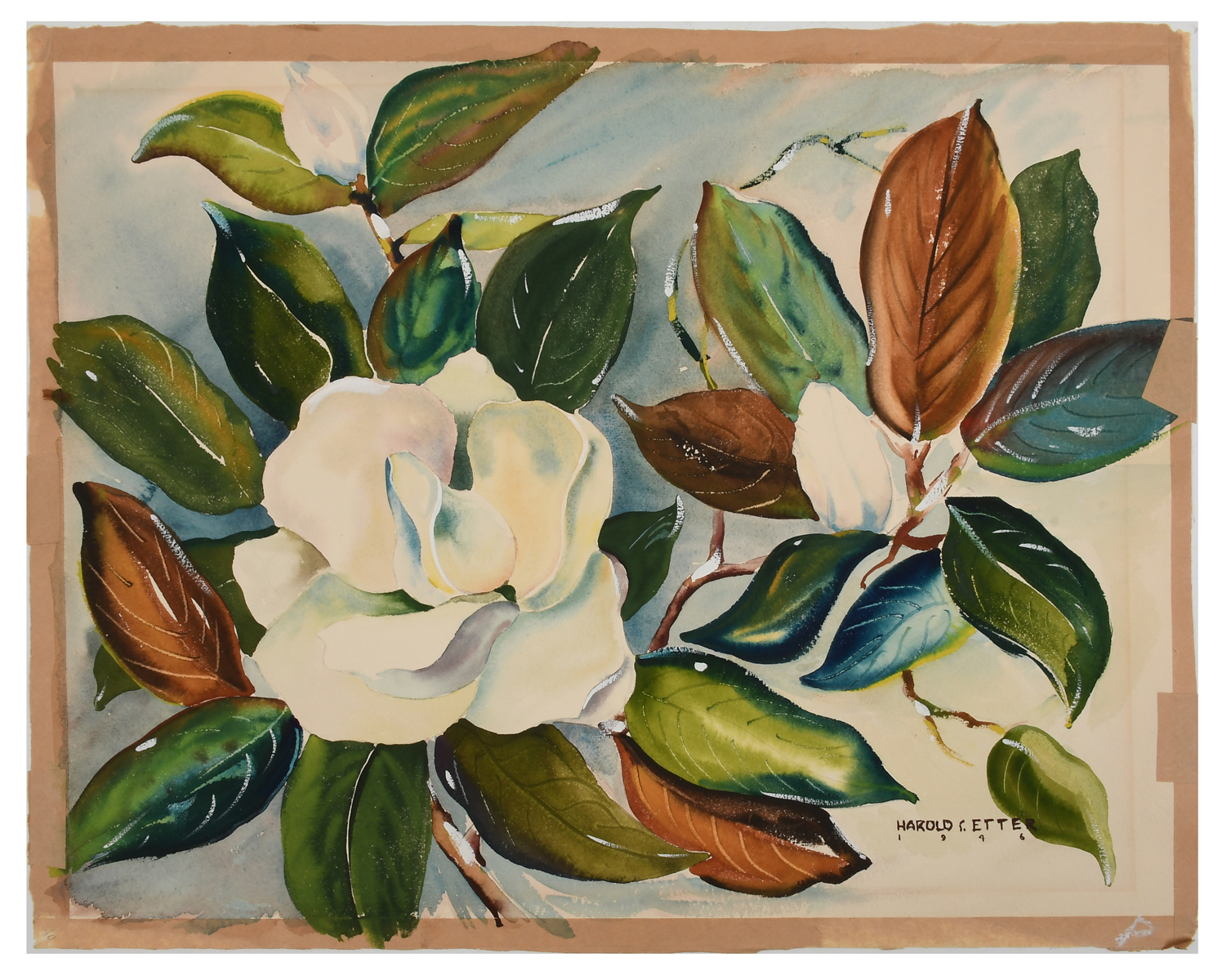 Appraisal: ETTER Harold Sleichter American - Magnolia Still Life Watercolor ''