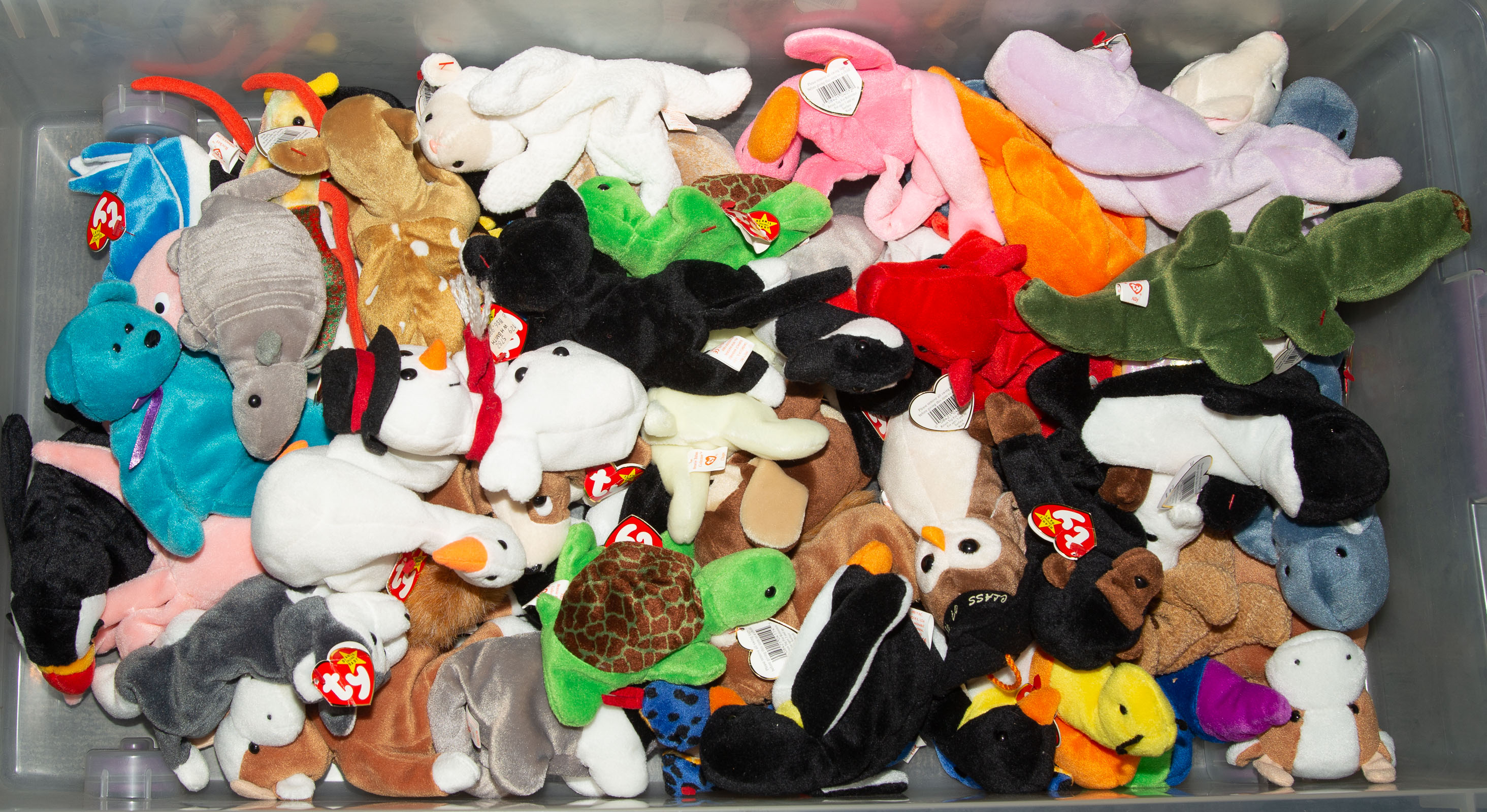 Appraisal: LARGE ASSORTMENT OF BEANIE BABIES Includes bears octopus dogs birds