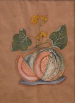 Appraisal: Brookshaw Plate XI C Late th Century Polinac Melon after