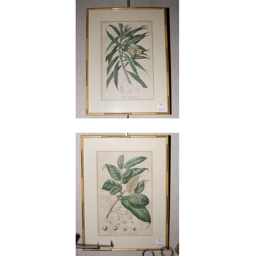 Appraisal: Artist Unknown PLANT STUDIES Two hand-colored color stipple engravings Sight