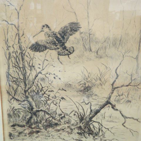 Appraisal: Roland Clark etching Woodcock in flight well listed artist image