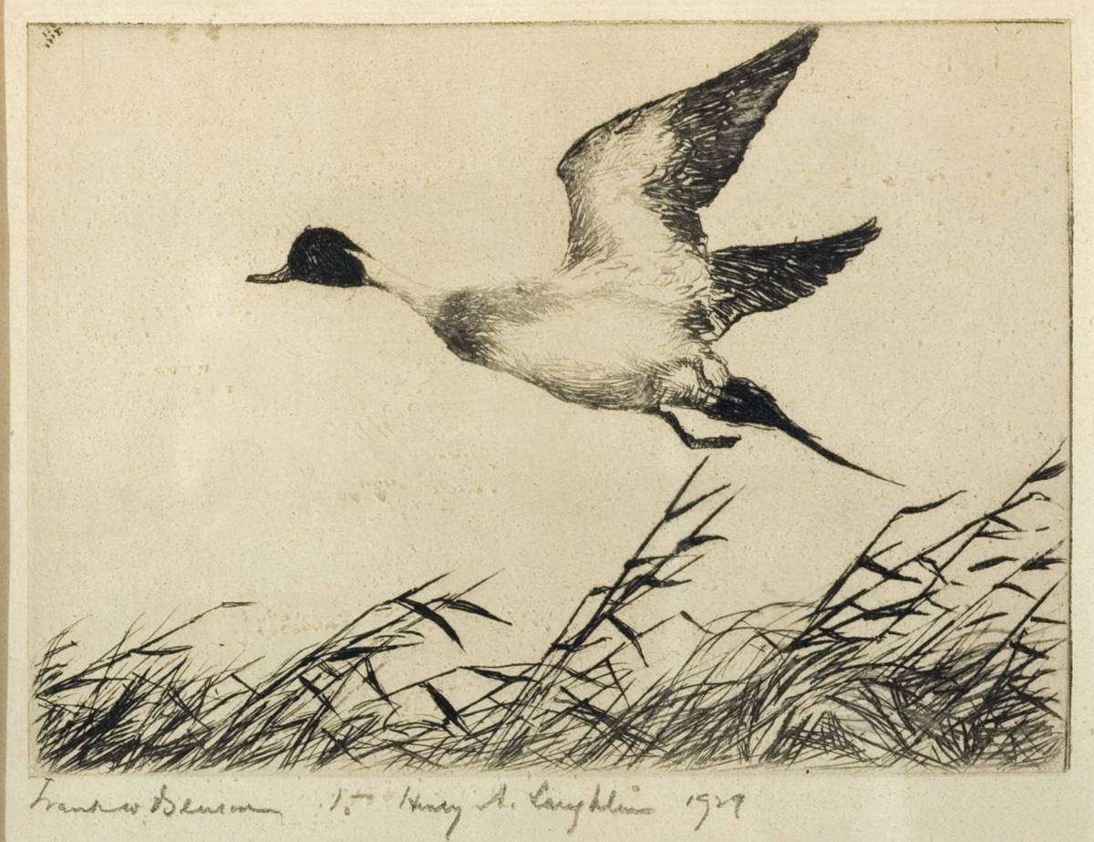 Appraisal: FRANK W BENSON AMERICAN - FLYING PINTAIL Etching on paper