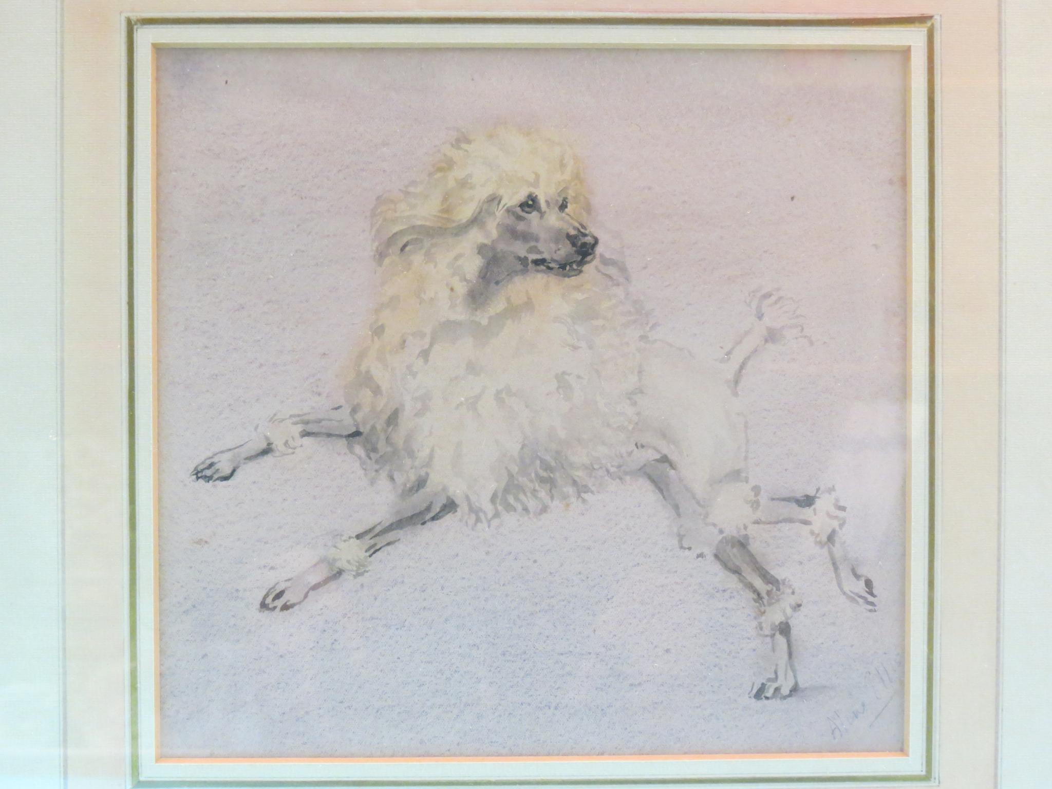 Appraisal: Aline Ellis - - pair of watercolours poodles signed x