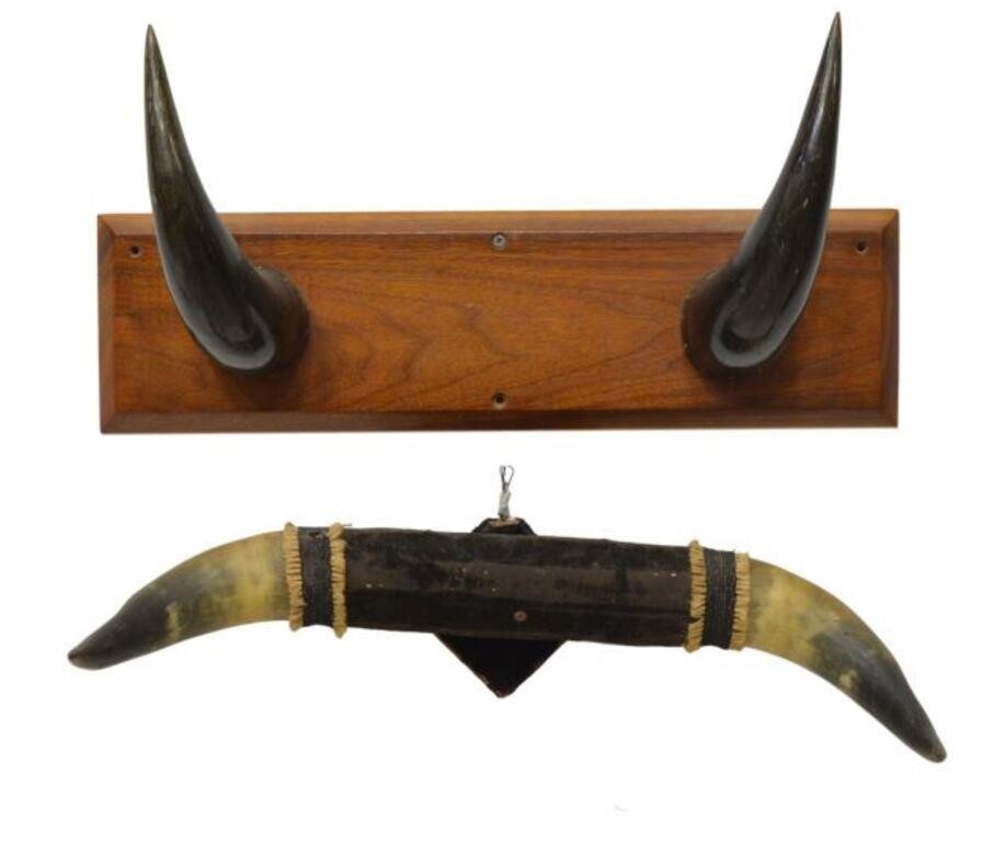 Appraisal: lot of Trophy racks including buffalo horn rack on wood