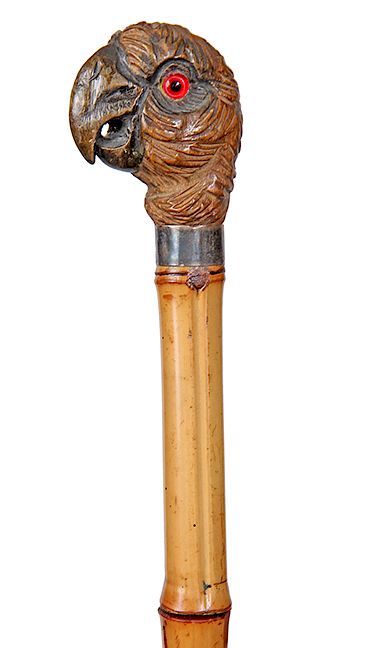 Appraisal: Parrot Dress Cane- Ca - Carved parrot with two color