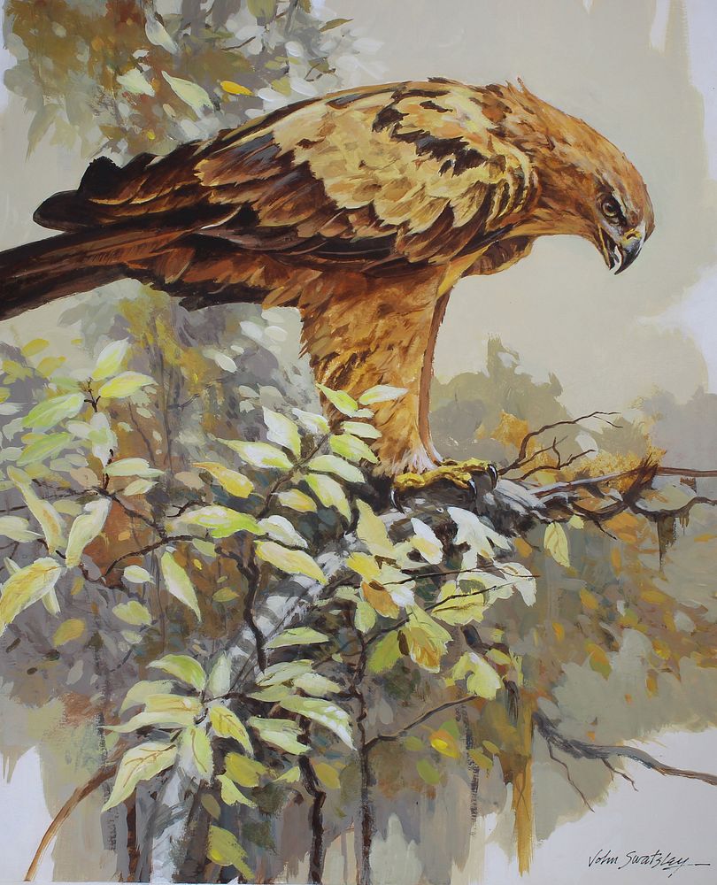 Appraisal: John Swatsley B Tawny Eagle John Swatsley American B Tawny