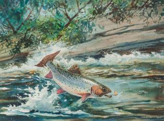 Appraisal: William J Schaldach - Rainbow Trout signed Wm J Schaldach