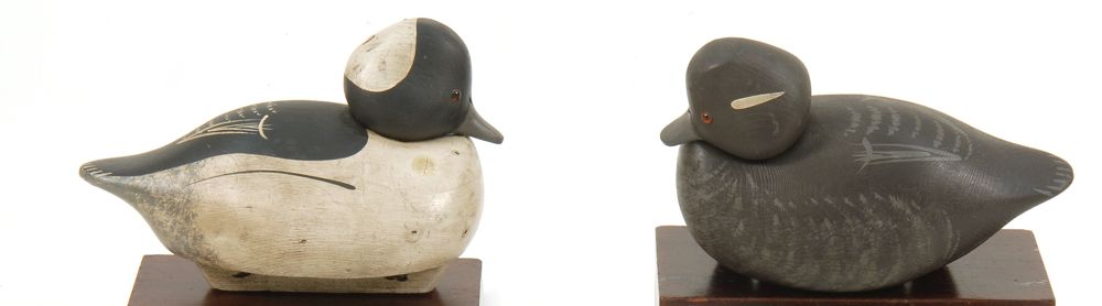 Appraisal: PAIR OF BUFFLEHEAD DECOYS From Maryland Maker unknown Original paint