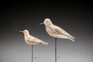 Appraisal: Golden Plover by A Elmer Crowell Golden PloverA Elmer Crowell