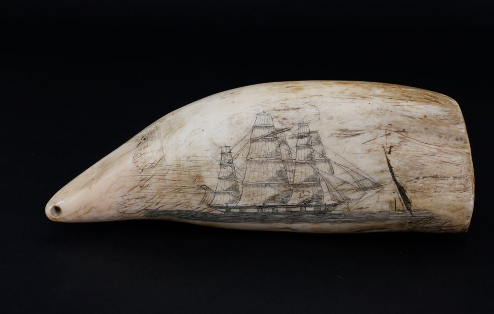 Appraisal: Scrimshaw Sperm Whale Tooth circa Scrimshaw Sperm Whale Tooth circa